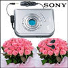 Musical wedlock - Click here to View more details about this Product
